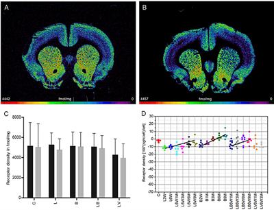 Acetylcholine Neurotransmitter Receptor Densities in the Striatum of Hemiparkinsonian Rats Following Botulinum Neurotoxin-A Injection